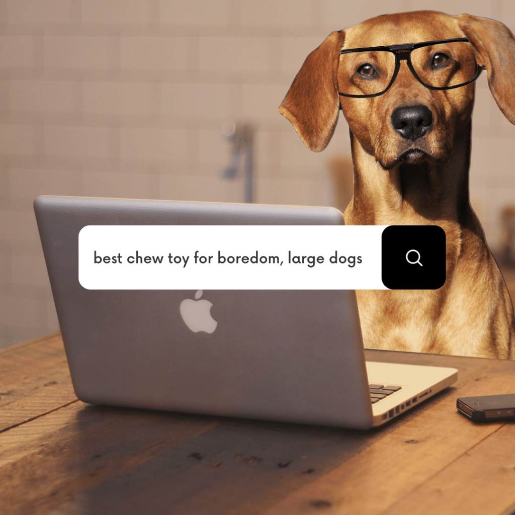 eCommerce tips for Pet Brands