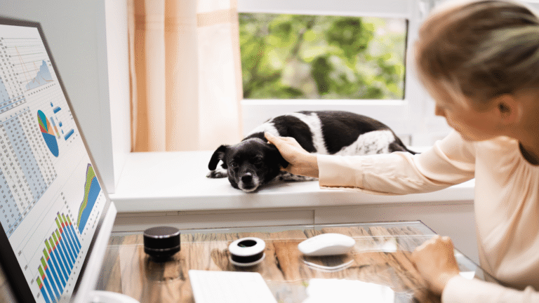 pet brands and ecommcerce