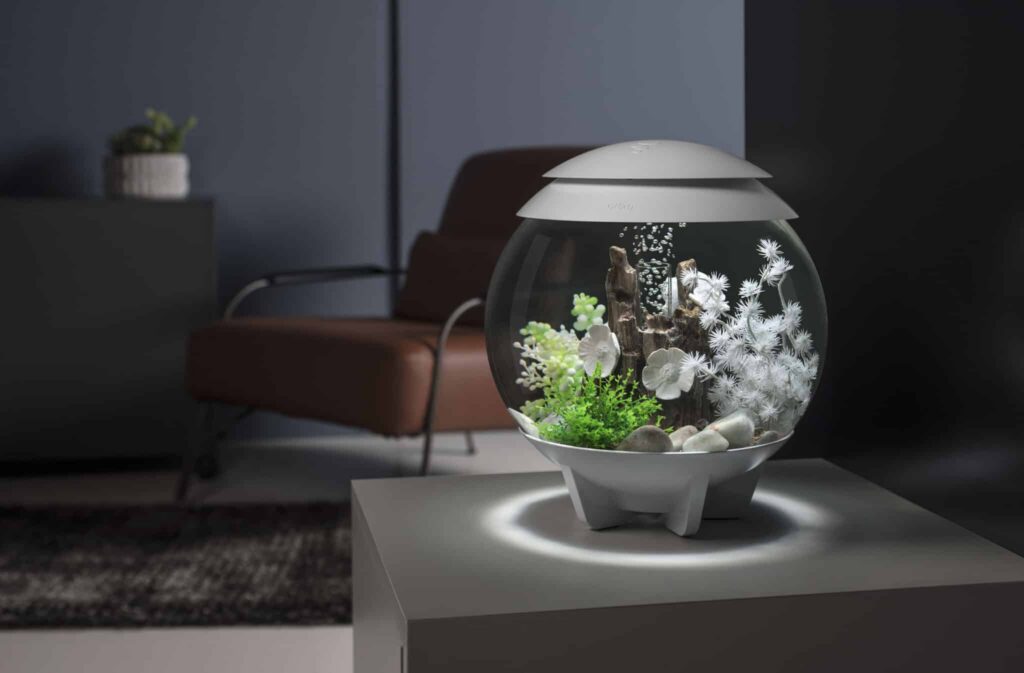 biORb Halo Aquarium