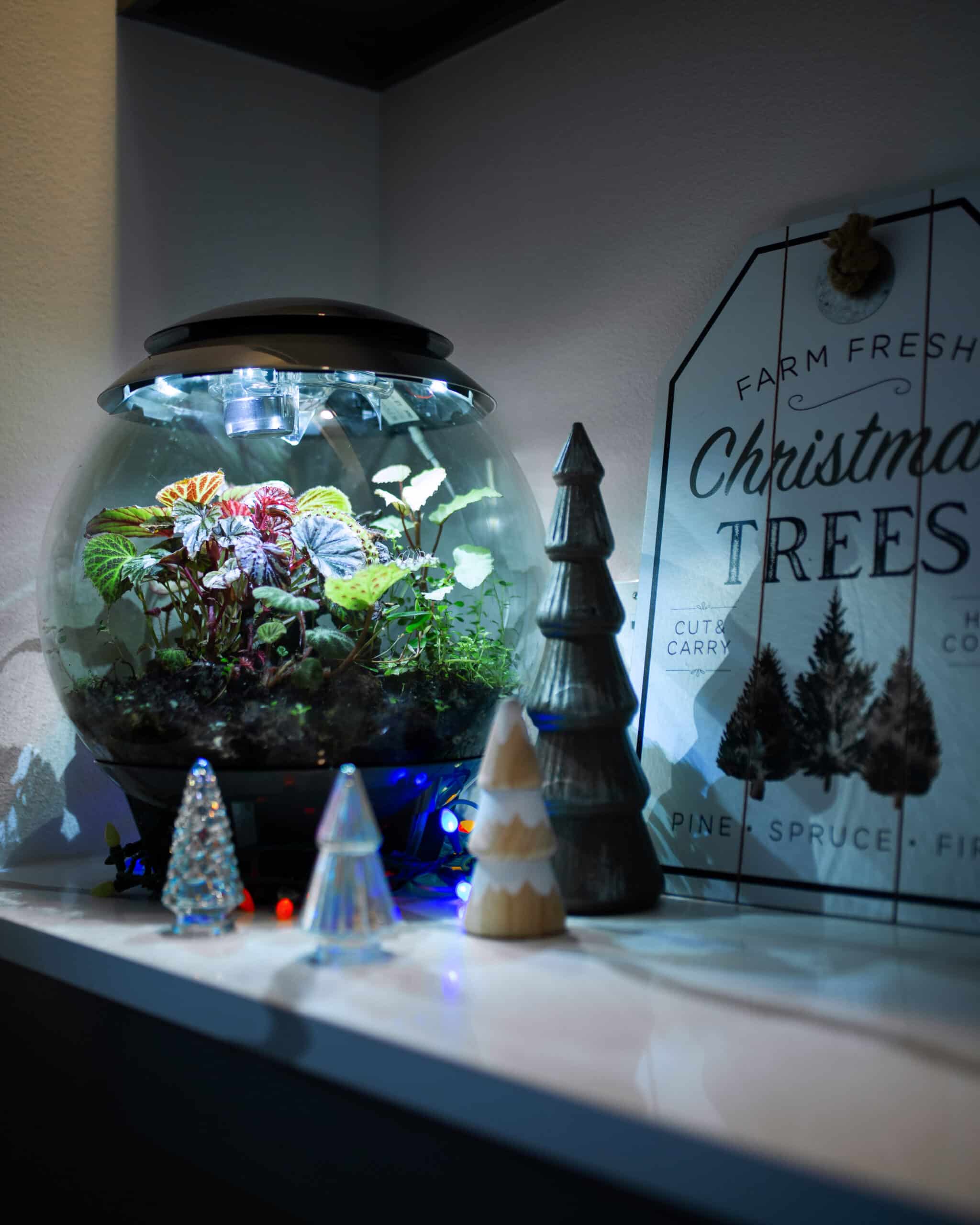 biOrb aquarium